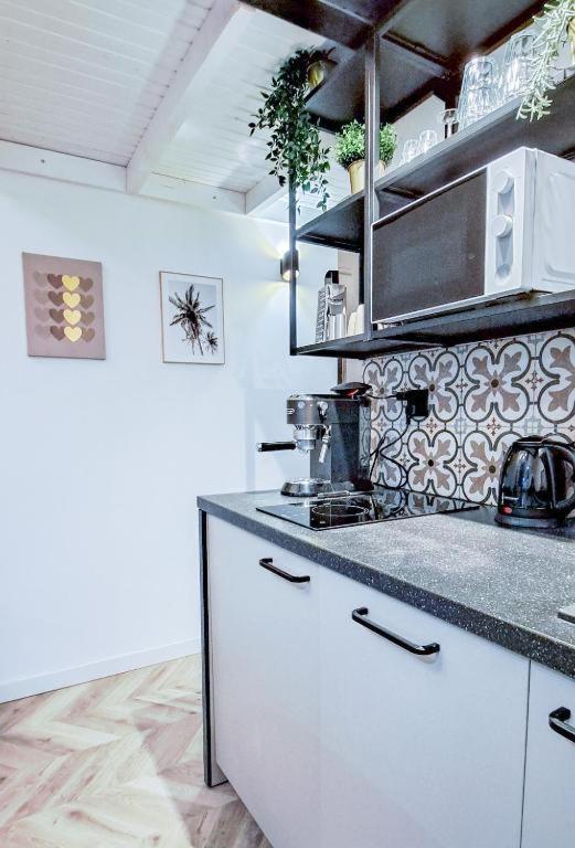 Lion Apartments - Premium Studio Krakow Luaran gambar