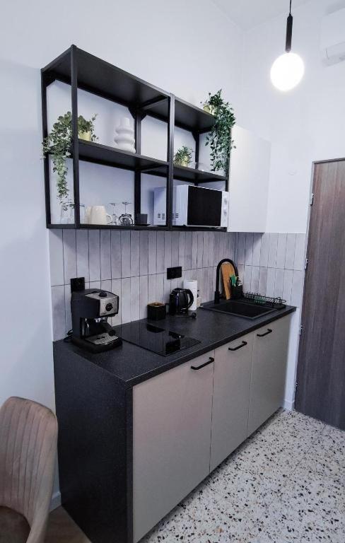 Lion Apartments - Premium Studio Krakow Luaran gambar