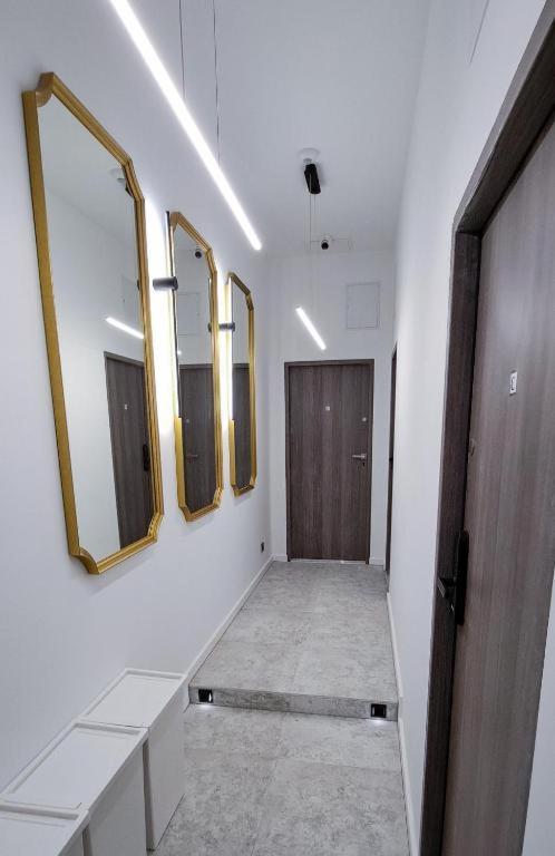 Lion Apartments - Premium Studio Krakow Luaran gambar